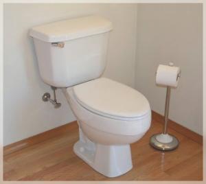 Our Plumbers in Castro Valley install low flow toilets